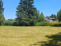 Grundstück Grundstück